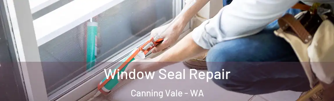 Window Seal Repair Canning Vale - WA