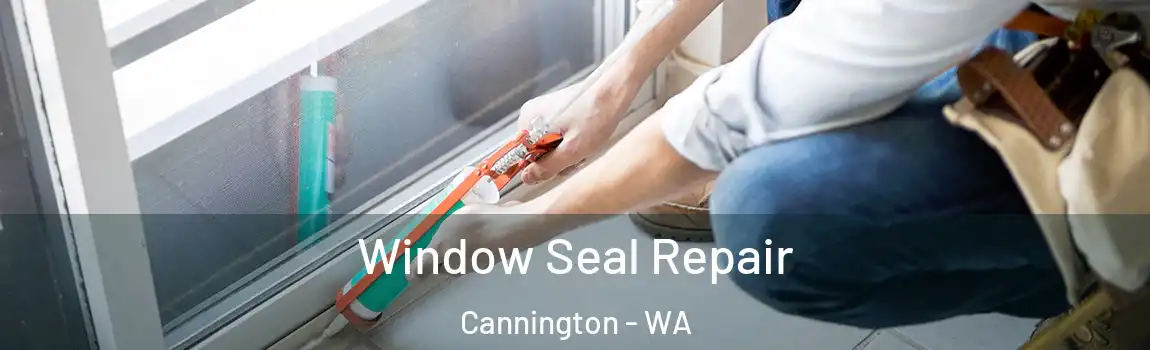 Window Seal Repair Cannington - WA