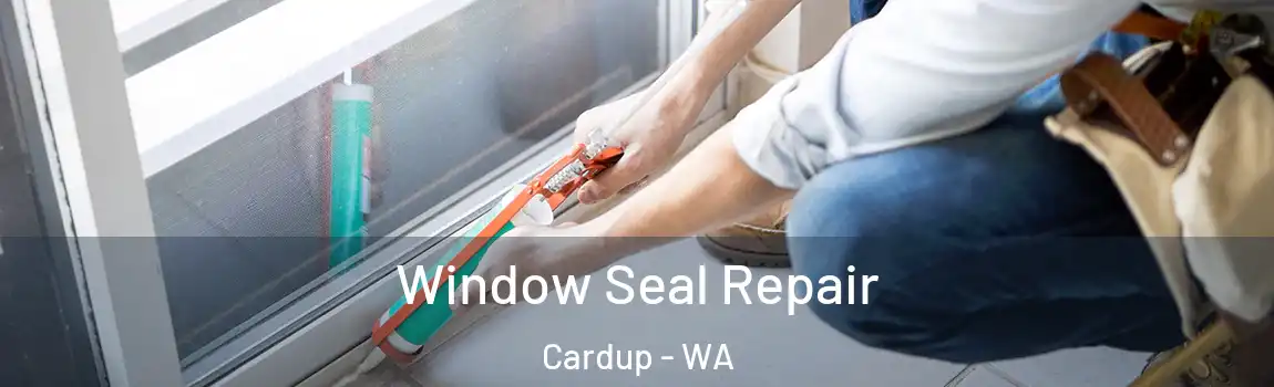 Window Seal Repair Cardup - WA