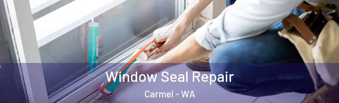 Window Seal Repair Carmel - WA