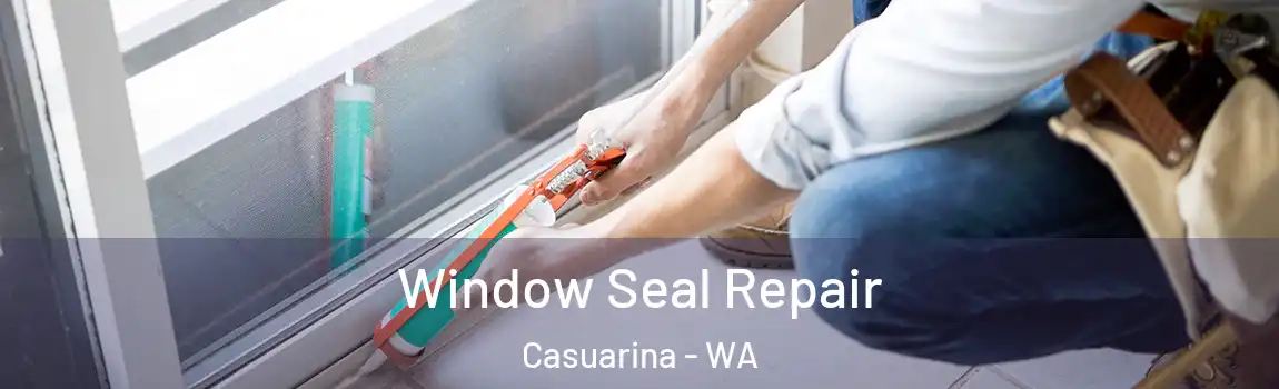Window Seal Repair Casuarina - WA