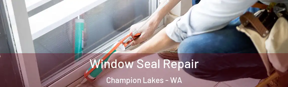 Window Seal Repair Champion Lakes - WA