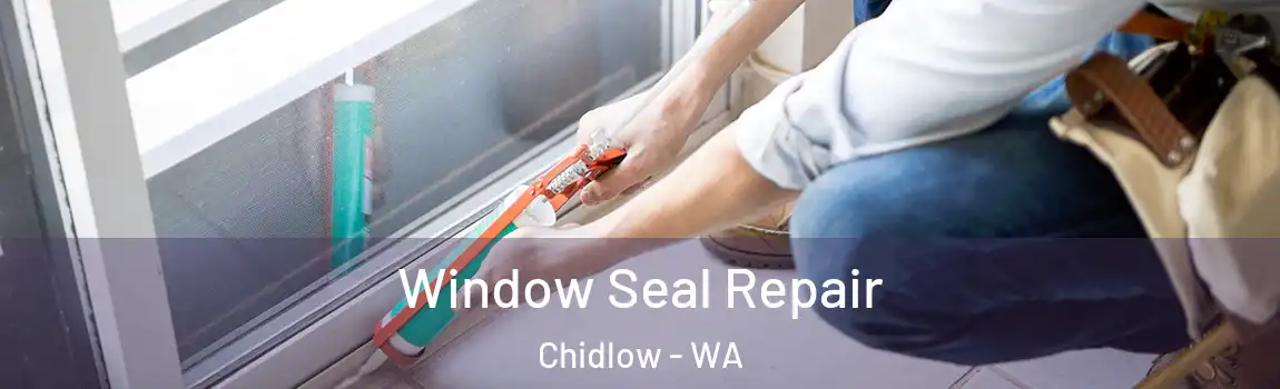  Window Seal Repair Chidlow - WA
