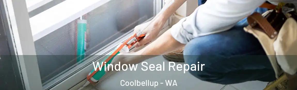 Window Seal Repair Coolbellup - WA