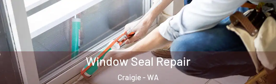 Window Seal Repair Craigie - WA