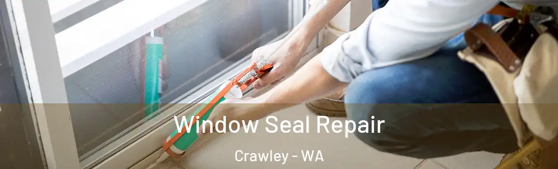 Window Seal Repair Crawley - WA