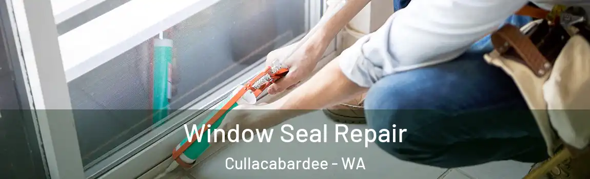 Window Seal Repair Cullacabardee - WA