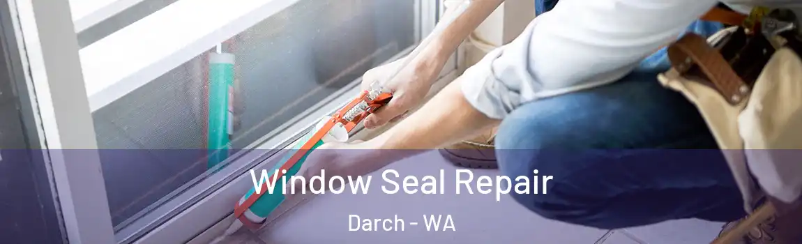  Window Seal Repair Darch - WA