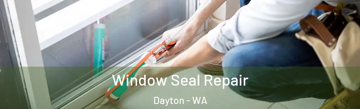 Window Seal Repair Dayton - WA