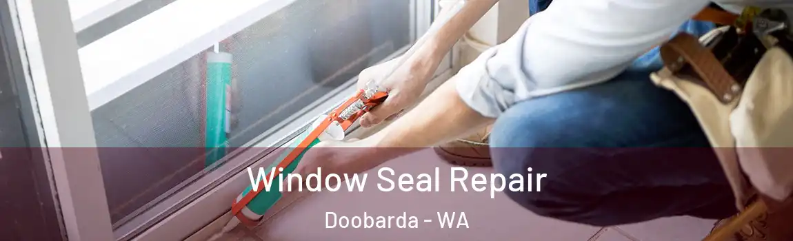 Window Seal Repair Doobarda - WA