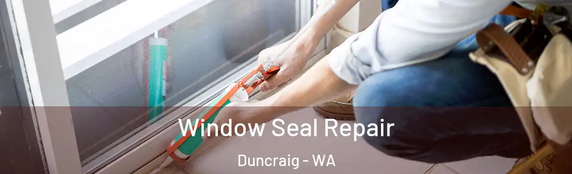Window Seal Repair Duncraig - WA
