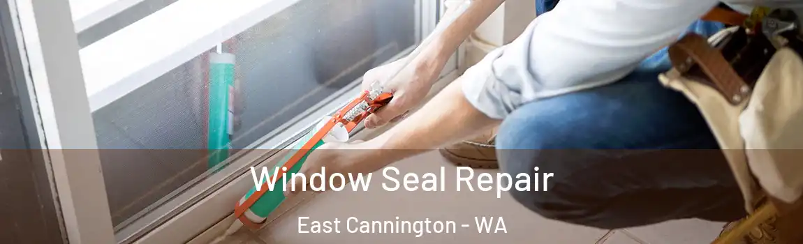 Window Seal Repair East Cannington - WA