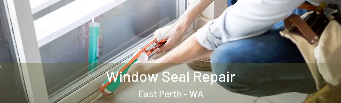 Window Seal Repair East Perth - WA