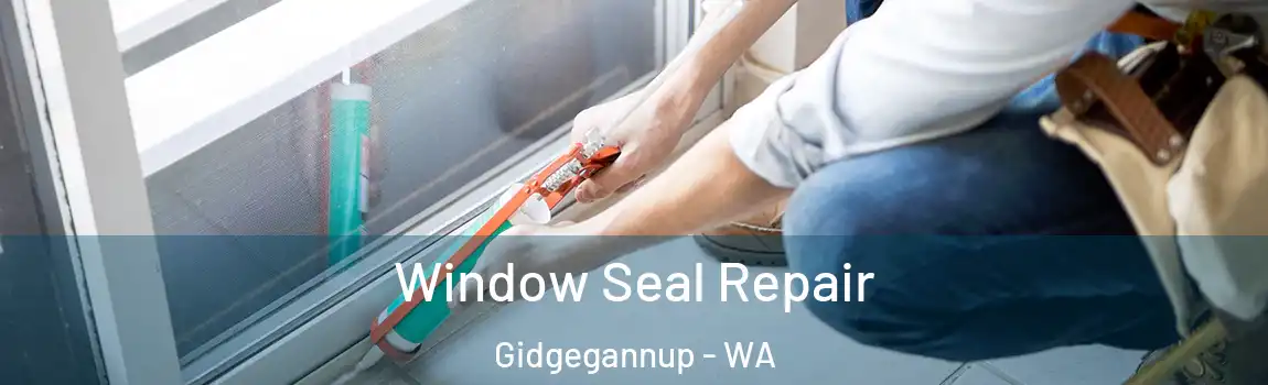 Window Seal Repair Gidgegannup - WA