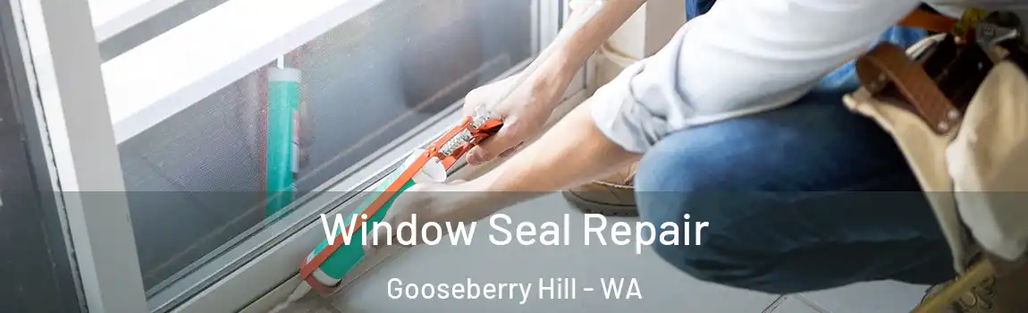 Window Seal Repair Gooseberry Hill - WA