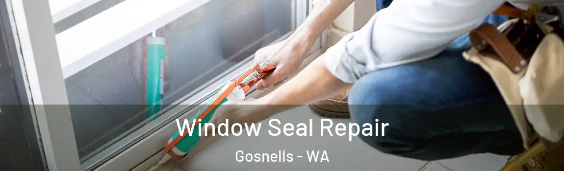 Window Seal Repair Gosnells - WA