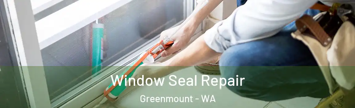 Window Seal Repair Greenmount - WA