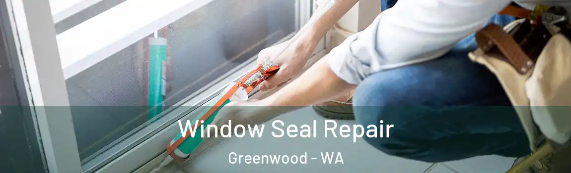 Window Seal Repair Greenwood - WA