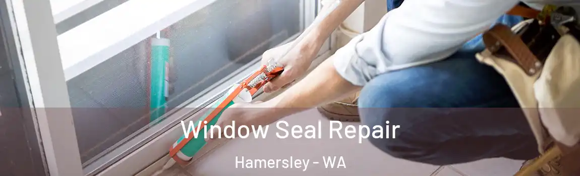 Window Seal Repair Hamersley - WA