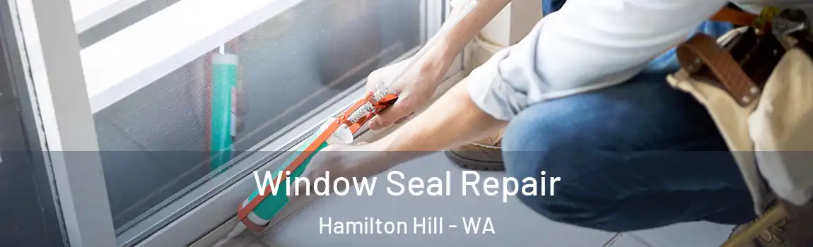 Window Seal Repair Hamilton Hill - WA
