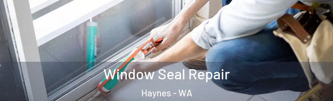  Window Seal Repair Haynes - WA