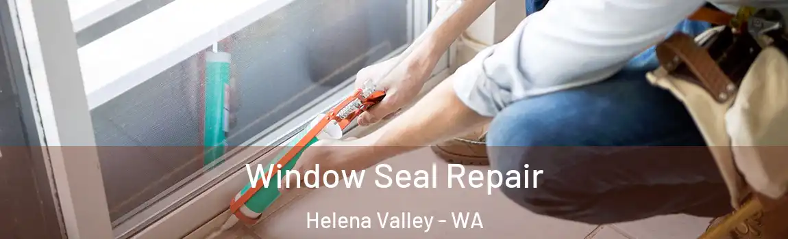 Window Seal Repair Helena Valley - WA