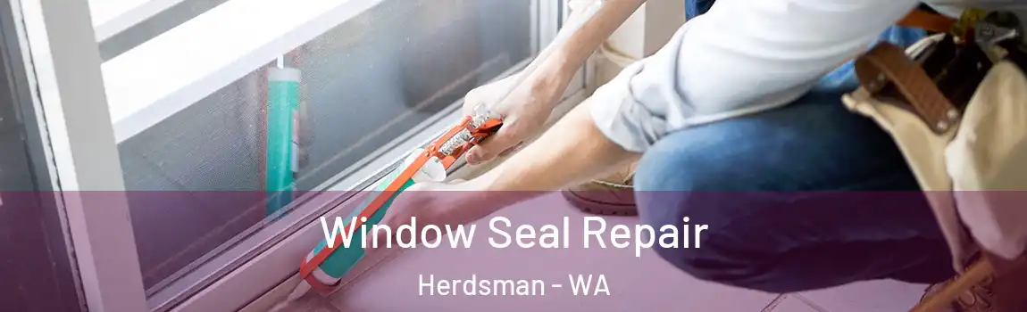 Window Seal Repair Herdsman - WA