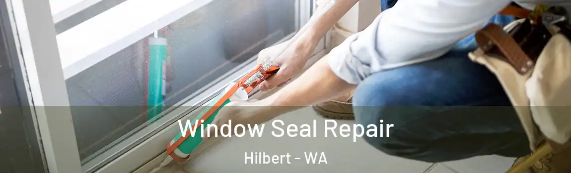 Window Seal Repair Hilbert - WA