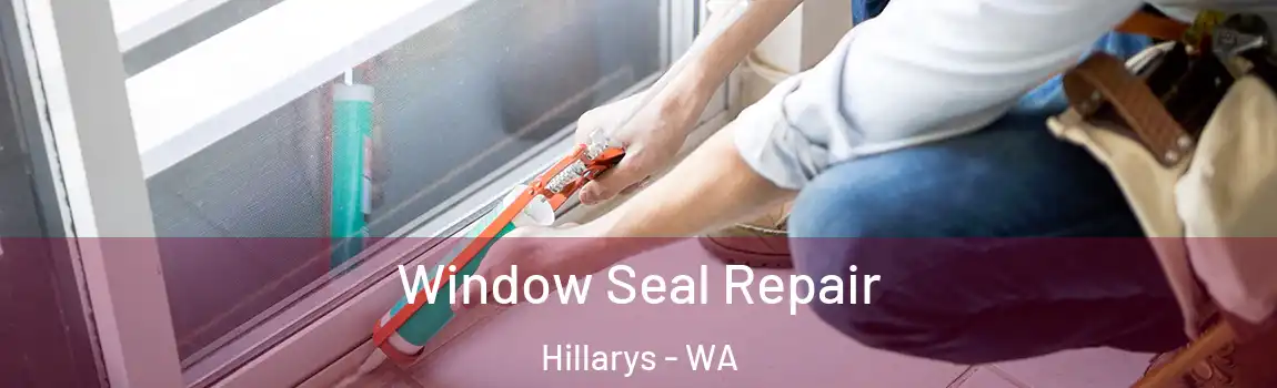 Window Seal Repair Hillarys - WA