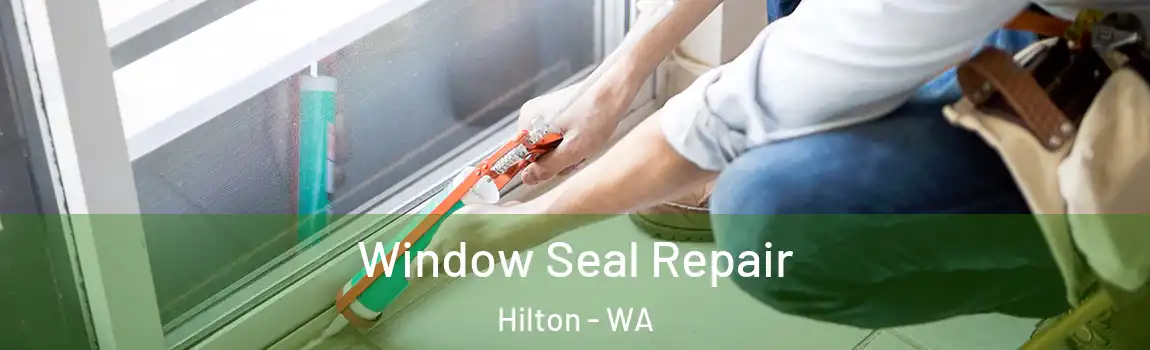 Window Seal Repair Hilton - WA
