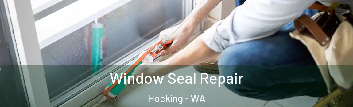 Window Seal Repair Hocking - WA