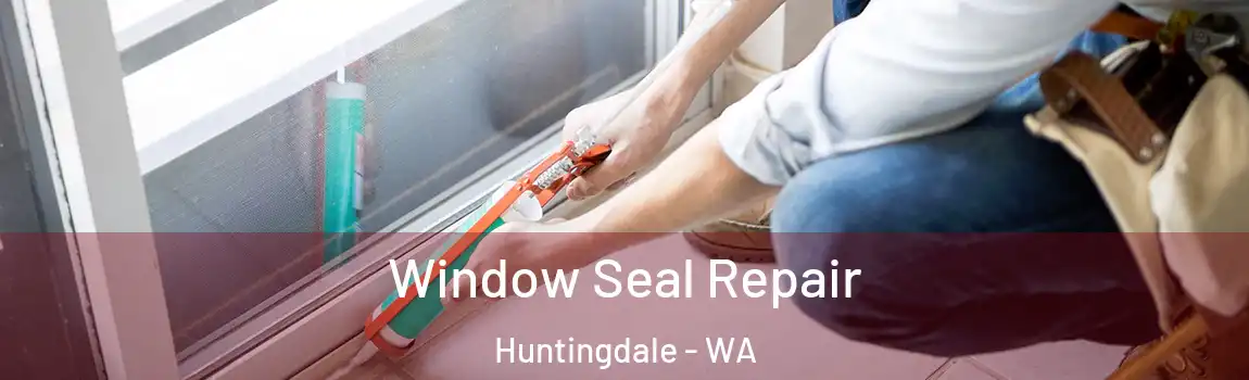 Window Seal Repair Huntingdale - WA