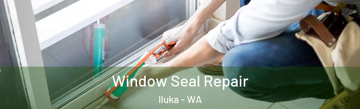 Window Seal Repair Iluka - WA