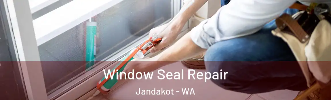 Window Seal Repair Jandakot - WA