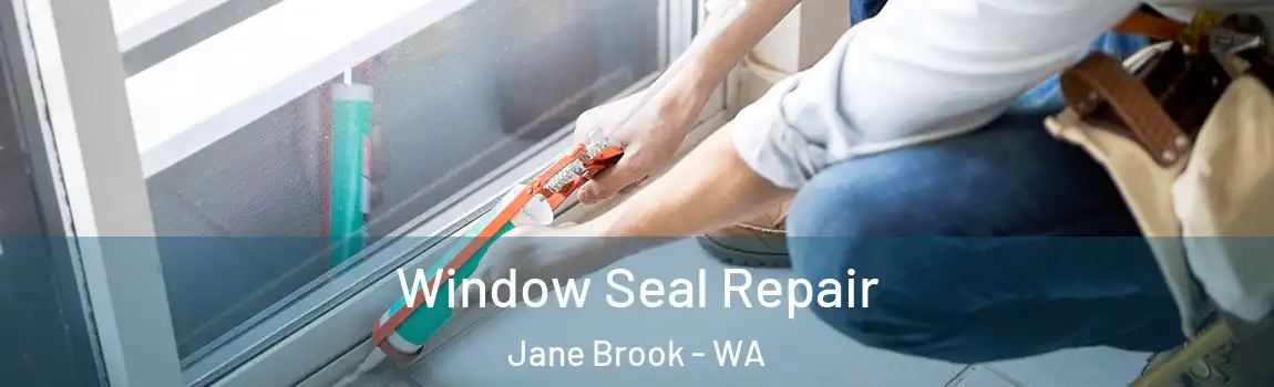 Window Seal Repair Jane Brook - WA