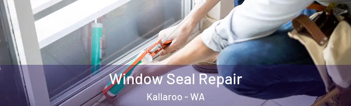 Window Seal Repair Kallaroo - WA
