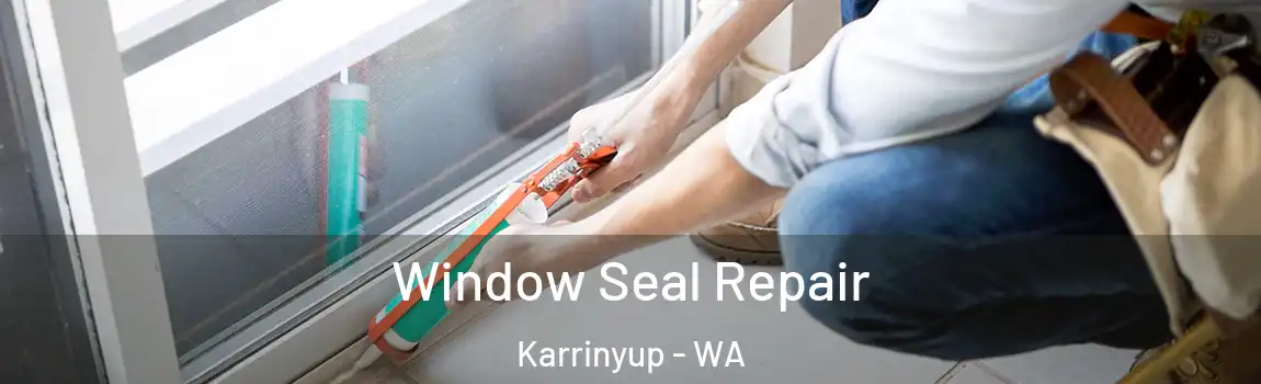 Window Seal Repair Karrinyup - WA