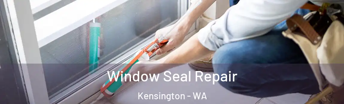 Window Seal Repair Kensington - WA