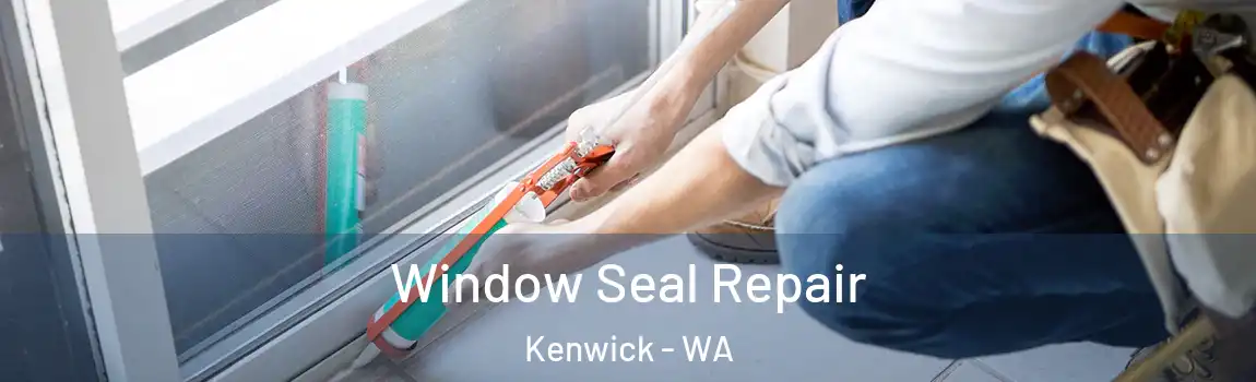 Window Seal Repair Kenwick - WA