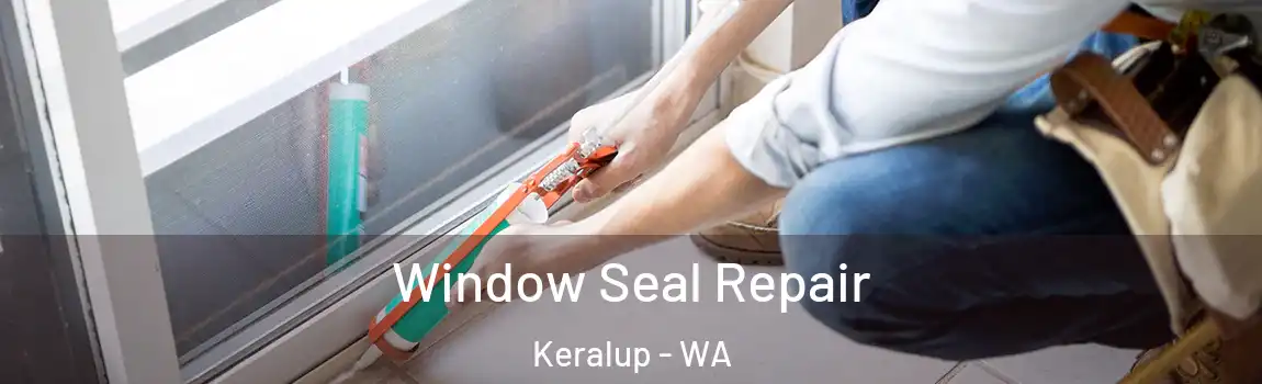 Window Seal Repair Keralup - WA