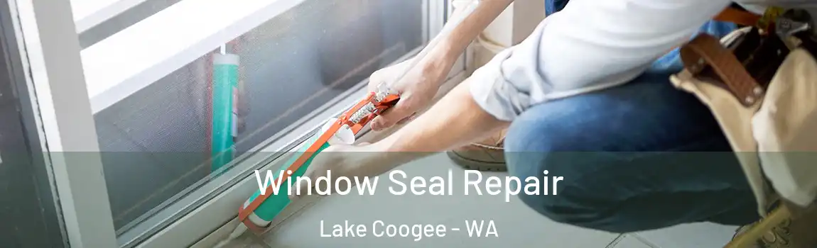 Window Seal Repair Lake Coogee - WA