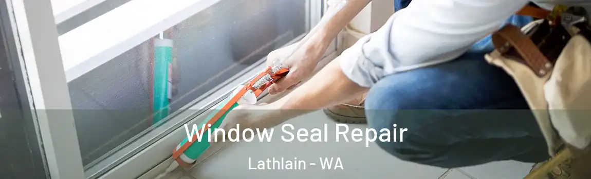 Window Seal Repair Lathlain - WA
