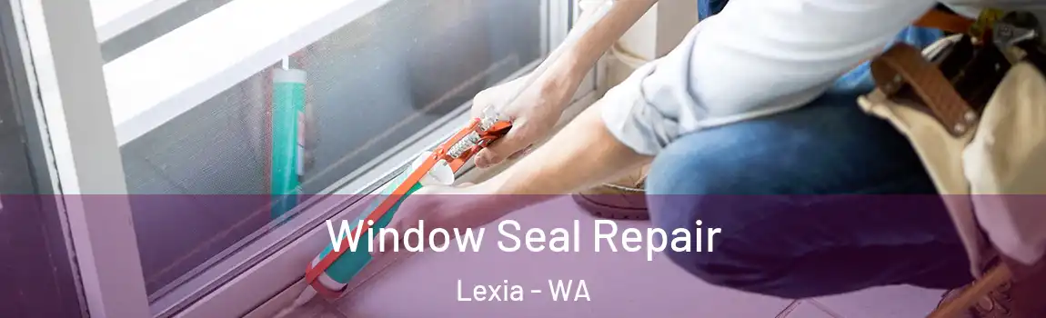 Window Seal Repair Lexia - WA