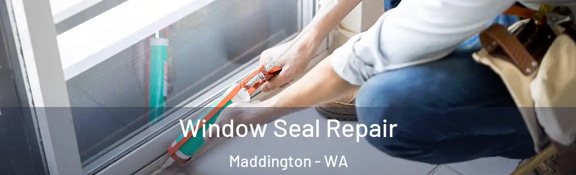 Window Seal Repair Maddington - WA