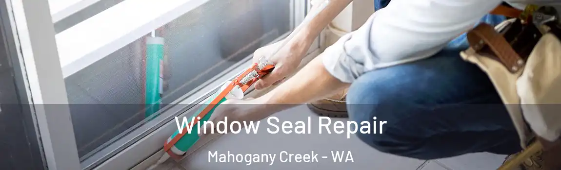 Window Seal Repair Mahogany Creek - WA