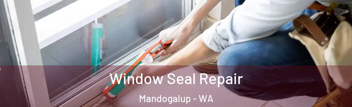 Window Seal Repair Mandogalup - WA