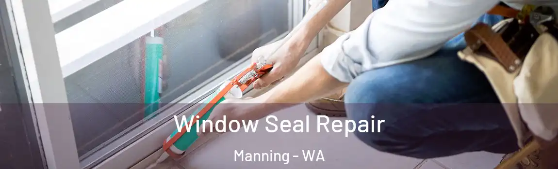 Window Seal Repair Manning - WA
