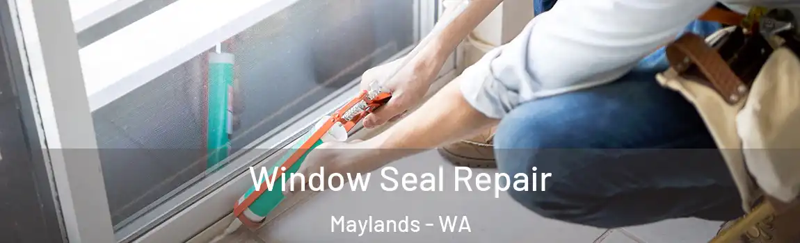 Window Seal Repair Maylands - WA