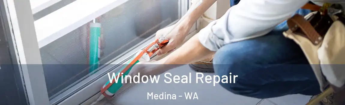 Window Seal Repair Medina - WA