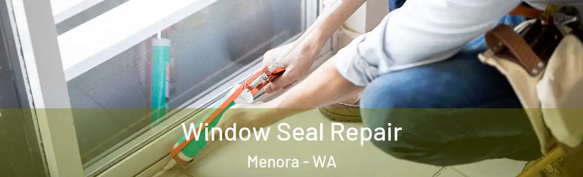 Window Seal Repair Menora - WA